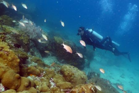 Mergulho, Aventura Subaquática em Búzios