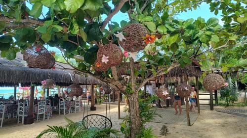 Passeio para às ilhas dos Frades e Itaparica