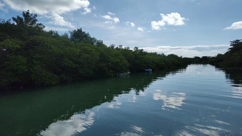 Passeio para às ilhas dos Frades e Itaparica