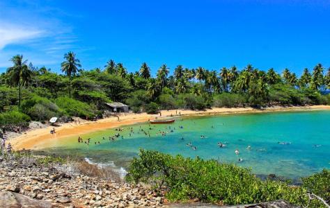 Ilha de Santo Aleixo de Lancha
