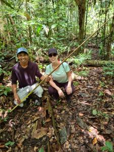 Passeio Bom Dia Amazônia