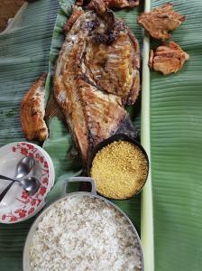 Passeio Bom Dia Amazônia