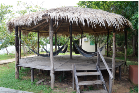 Passeio Bom Dia Amazônia