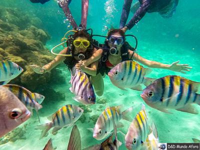 Maragogi  bate volta saindo de Maceió