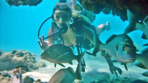 Maragogi  bate volta saindo de Maceió