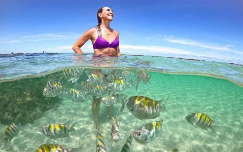 Maragogi  bate volta saindo de Maceió