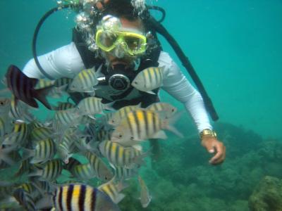 Maragogi, Lancha, Piscina, Mergulho e Praia de Antunes