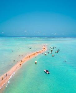 Maragogi, Lancha, Piscina, Mergulho e Praia de Antunes