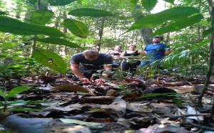 Passeio Bom Dia Amazônia
