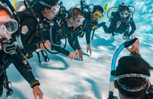 Curso de Mergulho PADI Open em Búzios