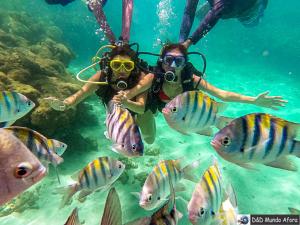 Maragogi, Lancha, Piscina, Mergulho e Praia de Antunes Maragogi, Lancha, Piscina, Mergulho e Praia de Antunes