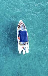 Passeio de Lancha em Japaratinga e Maragogi