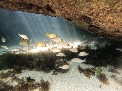Mergulho com cilindro nas piscinas naturais de João Pessoa