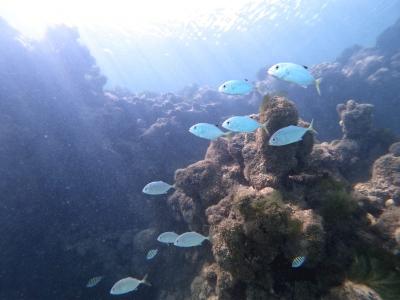 Mergulho com cilindro nas piscinas naturais de João Pessoa