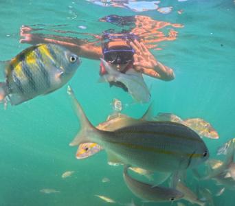 Passeio de Snorkel em Búzios - Mergulho com tubo de respiração