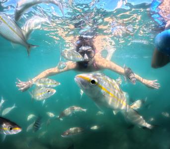 Passeio de Snorkel em Búzios - Mergulho com tubo de respiração