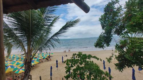 Passeio para às ilhas dos Frades e Itaparica