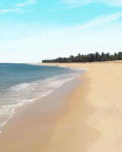 Passeio Praia do Gunga e Barra de São Miguel