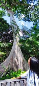 Rivertuor Regional Rio Amazonas + Trilha das Sumaúmas na Selva Amazônica