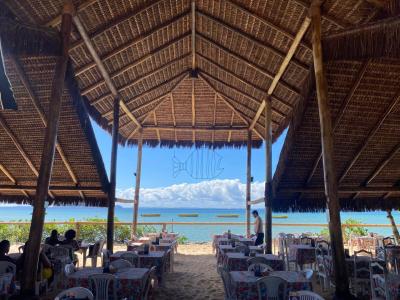 Passeio de Escuna ilha dos Frades e Itaparica