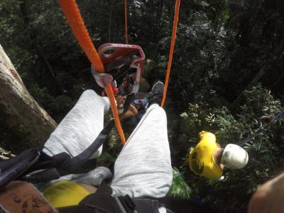 Arvorismo Floresta Amazônica