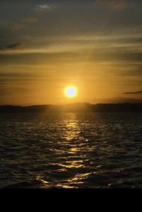 Passeio de Buggy em São Miguel dos Milagres