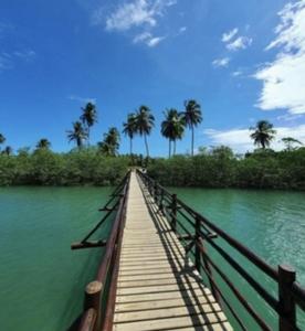Passeio de Buggy em São Miguel dos Milagres