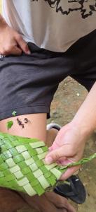 Ritual Da Tucandeira em Manaus