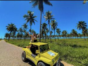 Passeio de Buggy em São Miguel dos Milagres Passeio de Buggy em São Miguel dos Milagres