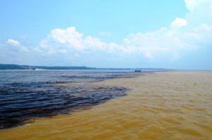 Nado com Golfinhos + Aldeia Indígena + Encontro das Águas