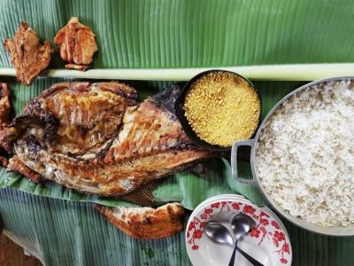 Ritual Da Tucandeira em Manaus