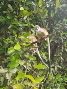 Turismo Aventura na Selva em 3 dias