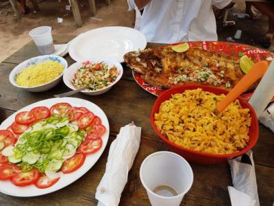 Tour Anavilhanas em 1 Dia