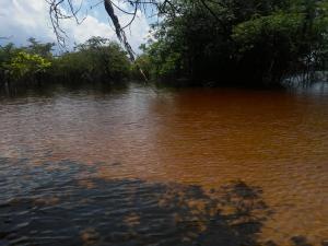 Tour Anavilhanas em 1 Dia