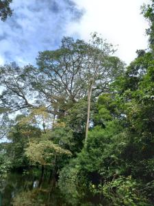 Passeio Araçá em 04 Dias e 03 Noites