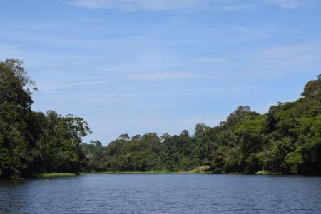 Passeio Araçá em 04 Dias e 03 Noites