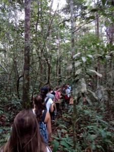 Passeio Araçá em 04 Dias e 03 Noites