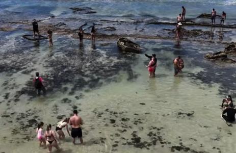 Passeio de Catamarã na Praia dos Carneiros