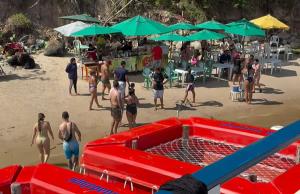 Passeio de Catamarã na Praia dos Carneiros
