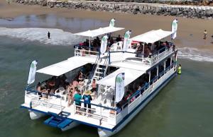 Passeio de Catamarã na Praia dos Carneiros